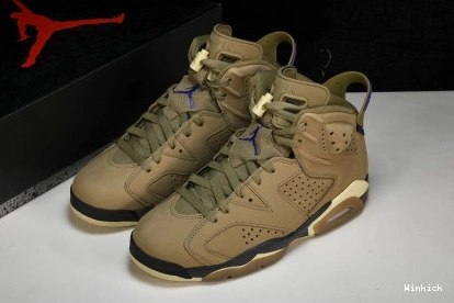 Kelp Gore-Tex Jordan Retro Brown  6 Air FD1643-300 1209